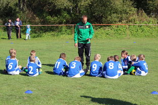 九游sports-国足对不同战术体系适应能力评估，国足体能与技术分析